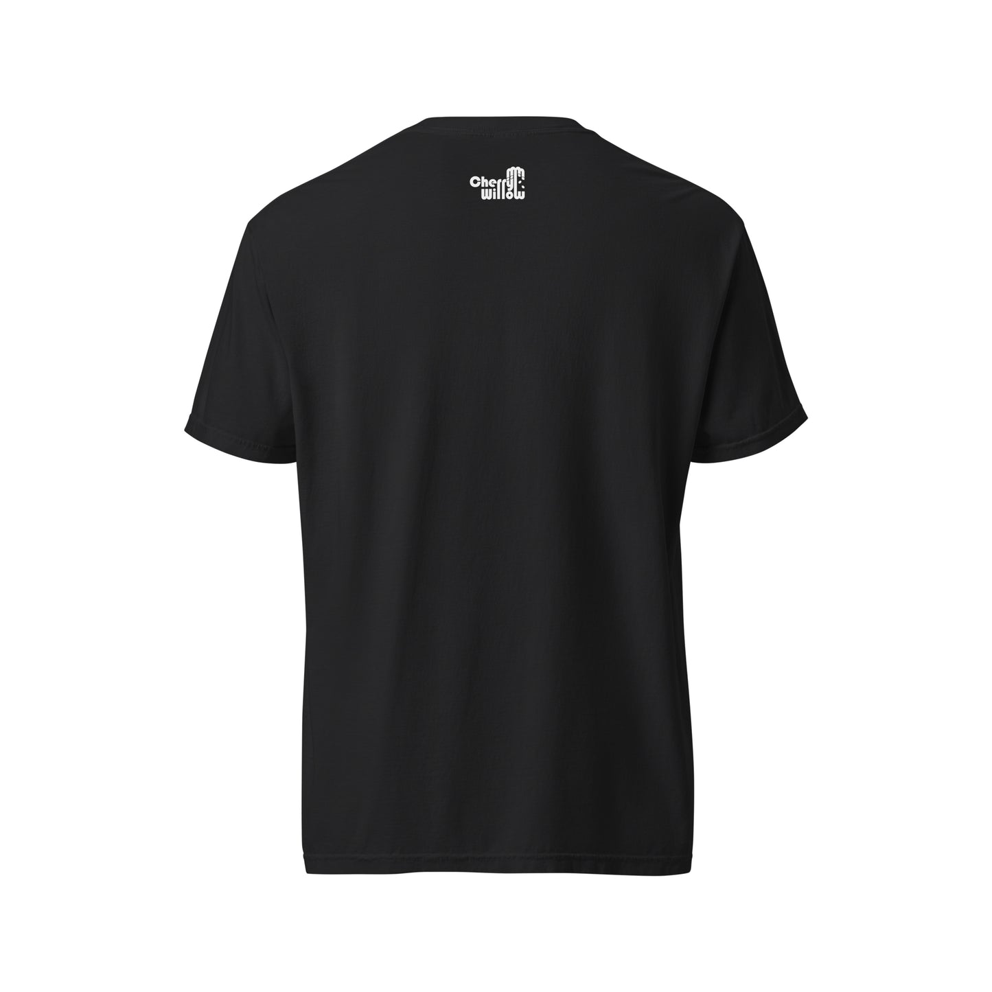 Aegrum Collection - Garment Files